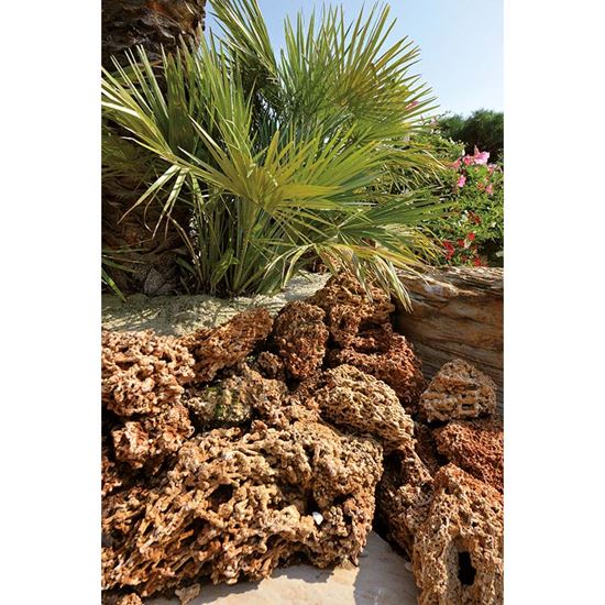 Immagine di CIOTTOLO SPAGHETTI ZANDOBBIO, ROSSO, 100/200 MM, RETI 10 KG