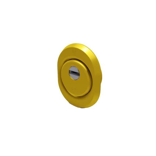 Immagine di KIT ESTERNO PROTECTOR FORTEZZA, ACCIAIO, OTTONE LUCIDO, Ø 50X15 MM