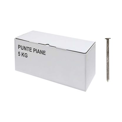Immagine di PUNTE PIANE, 5 KG, 21X120 MM