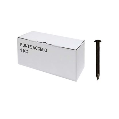 Immagine di PUNTE ACCIAIO, SCATOLA TRASPARENTE, 1 KG, 3X40 MM