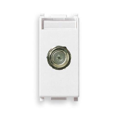 Immagine di PRESA COASSIALE TIPO F, FEMMINA, PLANA, COLORE BIANCO