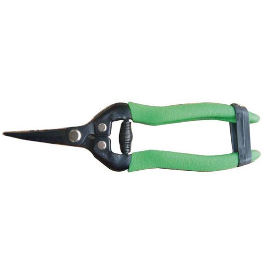 Immagine di CESOIA COGLI FRUTTA, CM 18