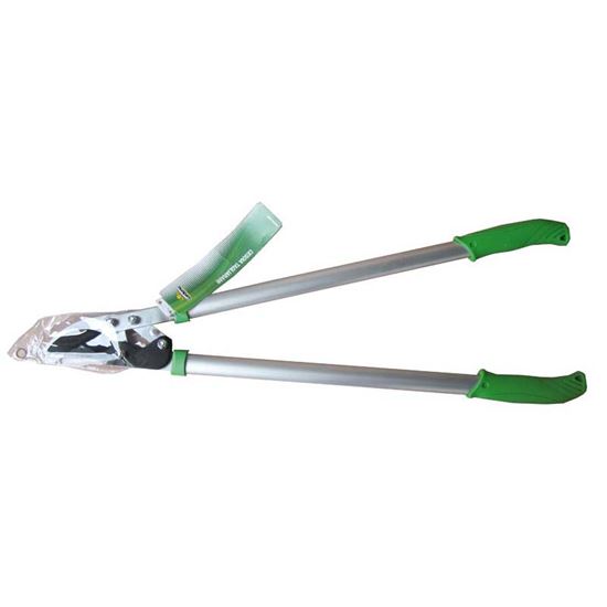 Immagine di CESOIA TAGLIARAMI A CRICCHETTO, LAME IN ACCIAIO, STRUTTURA IN ALLUMINIO, MANICI ERGONOMICI