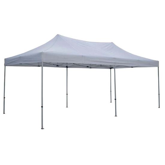 Immagine di GAZEBO EST.300X600X295-300H   CON TELO IN PVC